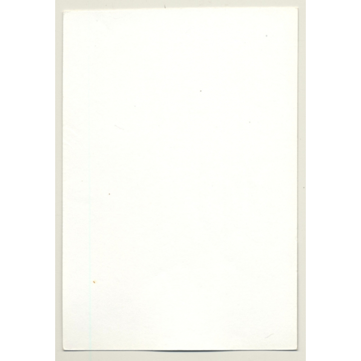 Pretty Kneeling Brunette Nude / Boobs - Wallpaper (Vintage Photo GDR ~1970s/1980s)