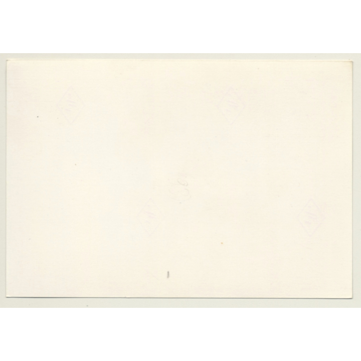 Darkhaired Nude In Motion / Tull Scarf - Wicker Chair (Vintage Photo GDR ~1980s)