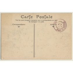 Maghreb: Chameaux / Camels - Berber - Ethnic (Vintage PC ND 1906)