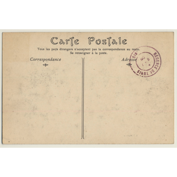 Maghreb: Chameaux / Camels - Berber - Ethnic (Vintage PC ND 1906)