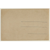 Maghreb: Wüstengeschwader / Méhariste - Camel - Ethnic (Vintage RPPC )