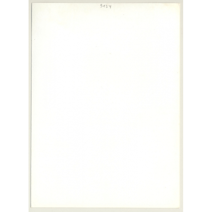 Pretty Brunette Nude *1 / Hairy Armpits - Interior (Vintage Photo GDR ~1970s/1980s)