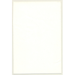 Natural Small Shorthaired Nude / Wallpaper (Vintage Photo GDR ~1980s)