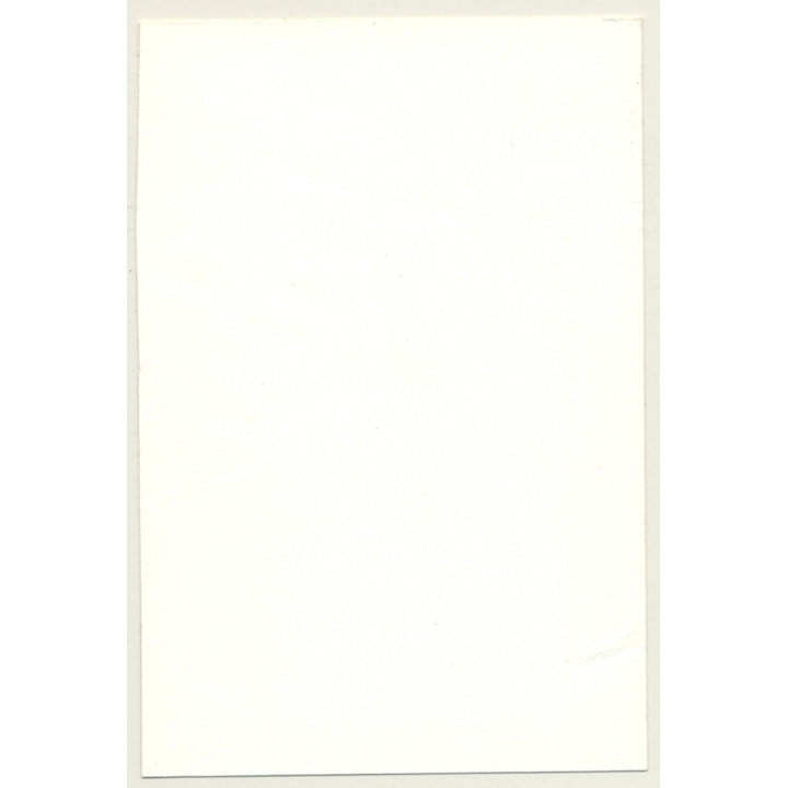 Natural Small Shorthaired Nude / Wallpaper (Vintage Photo GDR ~1980s)