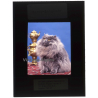 Persian Longhair *4 - Perser Langhaar / Cat (Vintage Diapositive 1970s)