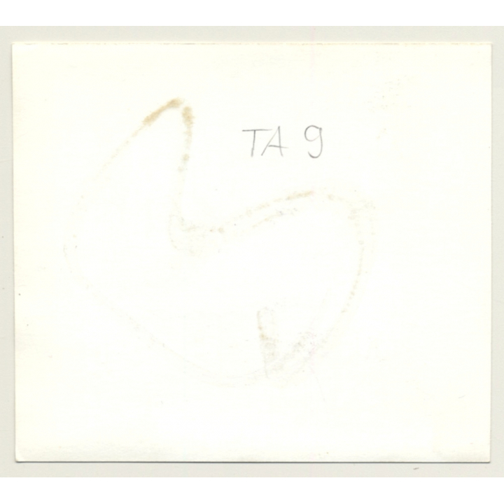 Mistress On Naked Slave Pony *3 / Boots - Face Mask - BDSM (Vintage Photo ~1960s)