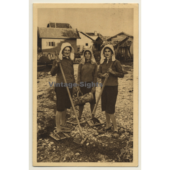 Bassin D'Arcachon / France: Trio De Parqueuses / Oyster Farming  (Vintage PC 1947)