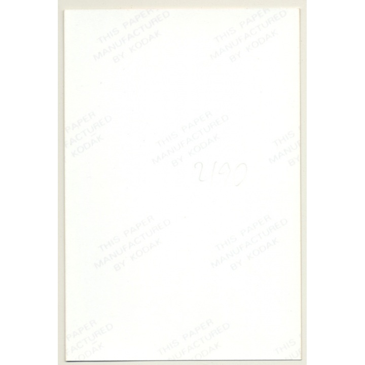 Brunette Semi Nude / Transparent Negligee - Stockings (Vintage Photo Germany ~1990s)