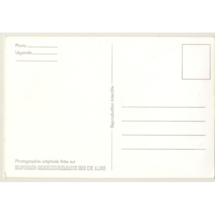 2 Slim Nudes Pose Together On Beach / Nudism (Vintage RPPC ~1980s)