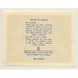 Brno / Czech Republic: International Hotel (Vintage Roll On Luggage Label)
