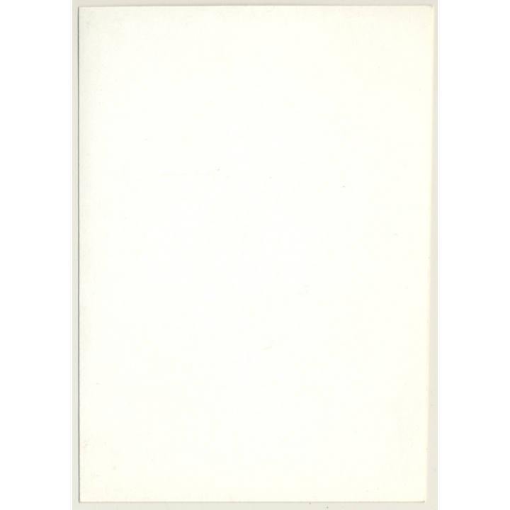 Strasbourg / France: Münster - Dom - Half-Timbered House (Vintage Photo 1960s)