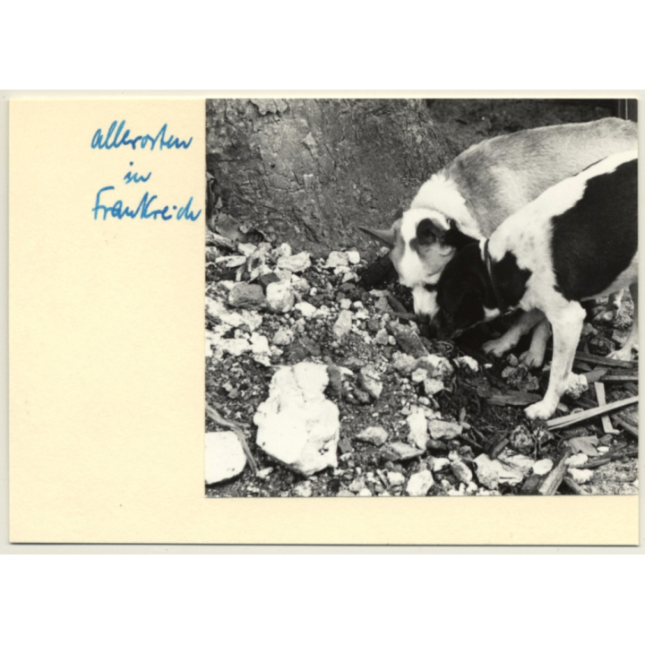 St. Céré / France: Élecion Présidentielle 1969 / Pompidou - Poher (Vintage Photo 1960s)