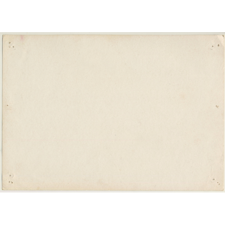 Polvora Negra - Black Gun / Jim Brown & Martin Landau (Vintage Cinema Display 1972)