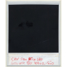 Photo Art: Container Ship CAP San Nicolas / Bullseyes (Vintage Polaroid SX-70 1980s)