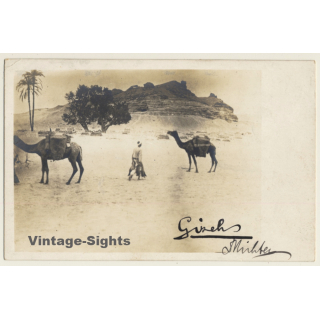 Gizeh / Egypt: 2 Camels - Berber - Rocks - Desert (Vintage RPPC ~1910s/1920s)