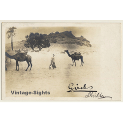 Gizeh / Egypt: 2 Camels - Berber - Rocks - Desert (Vintage RPPC ~1910s/1920s)