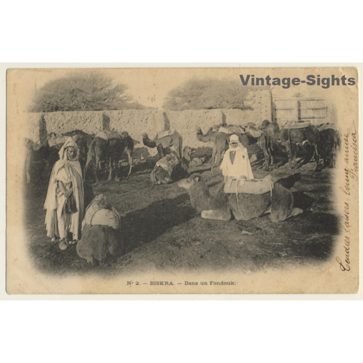 Biskra / Algeria: Dans Un Fondouk / Camels - Berber (Vintage PC 1902)