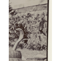 Snake Charmer - 2 Cobras - Puppet - Mongoose (Vintage Photo ~1930s)