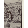 Snake Charmer - 2 Cobras - Puppet - Mongoose (Vintage Photo ~1930s)