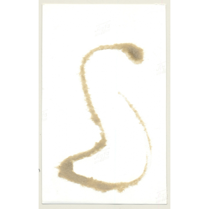 Rear View: Blonde Maid In Fetish Lingerie / Bondage - BDSM (2nd Gen. Photo GDR ~ 1960s)