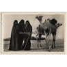 Mauritania: 3 Moorish Females & Camels / Nijab - Ethnic (Vintage RPPC)