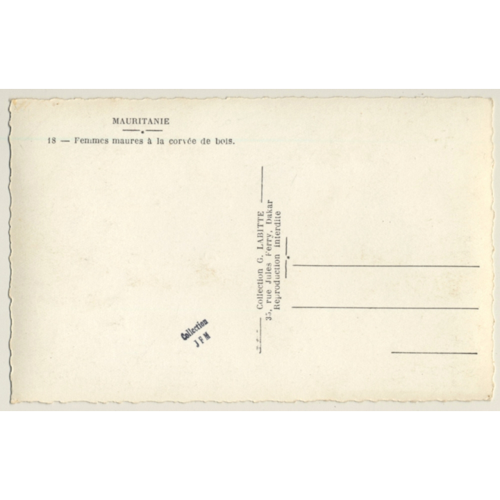 Mauritania: 3 Moorish Females & Camels / Nijab - Ethnic (Vintage RPPC)