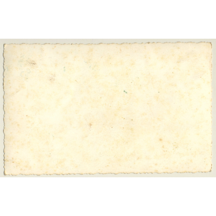 Maghreb: Feliz Pascuas / Camels - Berber (Vintage RPPC Hand Tinted)