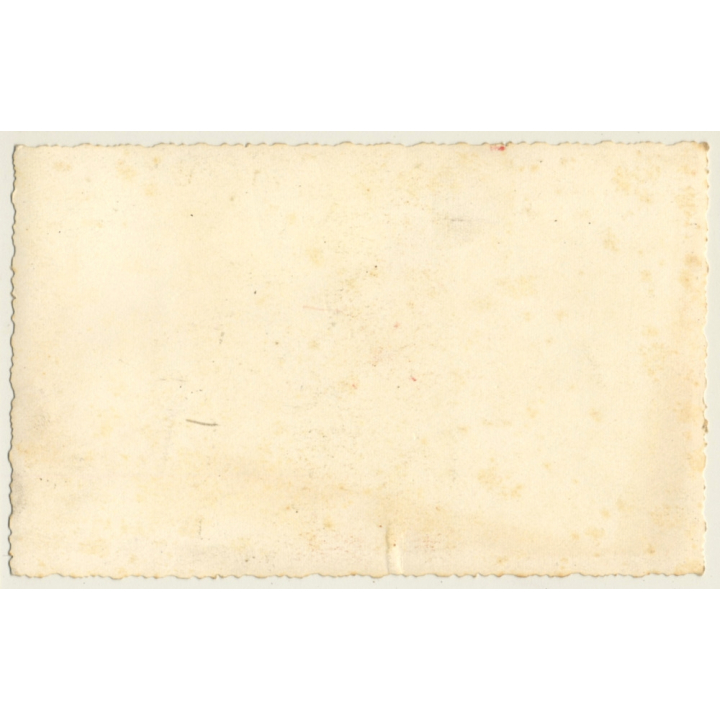 Maghreb: Feliz Pascuas / Camels - Berber - Palm Tree (Vintage RPPC Hand Tinted)