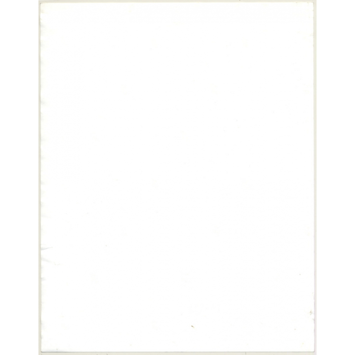 Jerri Bram (1942): Nude Study Of 2 Natural Females On Meadow (Vintage Photo ~1970s/1980s)