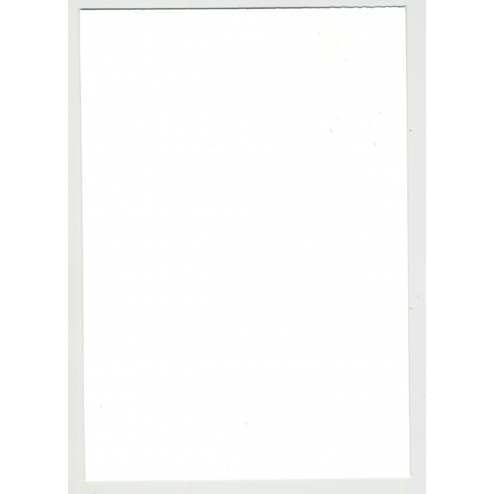 Dark Skinned Nude W. Great Butt 2 / Thighs - Look (Vintage Amateur Photo)