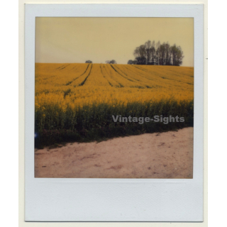 Photo Art: Rapeseed Field II (Vintage Polaroid SX-70 1980s)