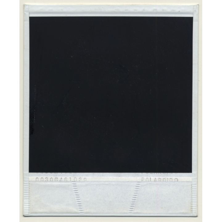 Photo Art: Wood Logs V (Vintage Polaroid SX-70 1980s)