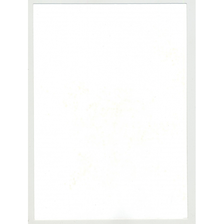 Dark Skinned Nude W. Great Butt 5 / Legs & Thighs (Vintage Amateur Photo)