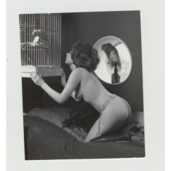 Pretty 1950s Nude Admires Parrot In Cage / 50s Design - Suspenders (Vintage Amateur Photo)