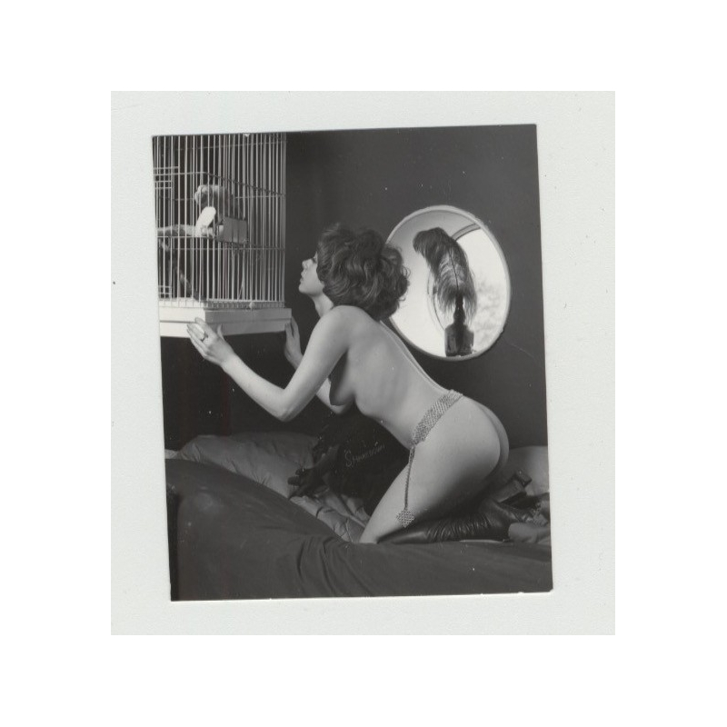 Pretty 1950s Nude Admires Parrot In Cage / 50s Design - Suspenders (Vintage Amateur Photo)