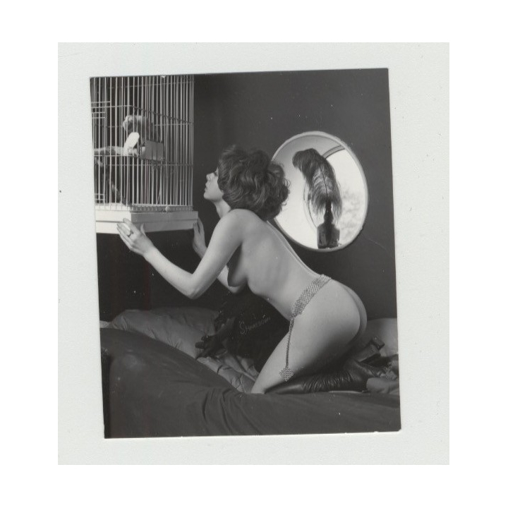Pretty 1950s Nude Admires Parrot In Cage / 50s Design - Suspenders (Vintage Amateur Photo)