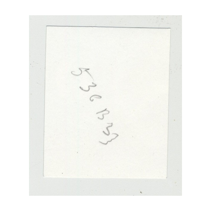 Pretty 1950s Nude Admires Parrot In Cage / 50s Design - Suspenders (Vintage Amateur Photo)