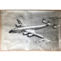 Pan Am NC88832 Lockheed 49 Constellation (Large Vintage Photo ~1950s/1960s)