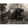 German Steam Train 050-913-3 In Black Forest (Vintage Photo)