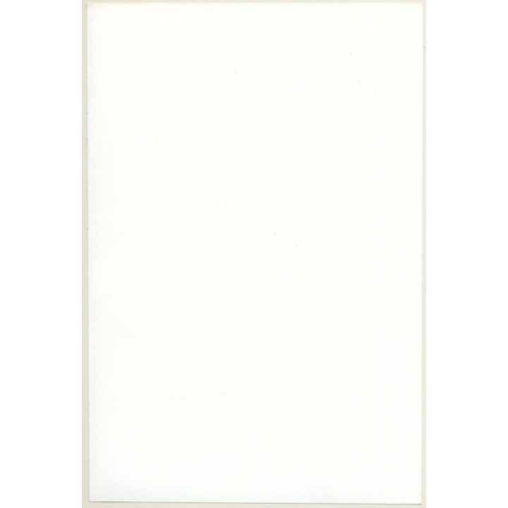 Beautiful Slim Busty Semi Nude On Bed / Panties (Vintage Photo France ~1980s)