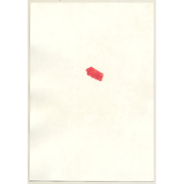 Rear View: Leggy Semi Nude Female In Front Of Curtains / Butt (Vintage Photo France ~1980s)