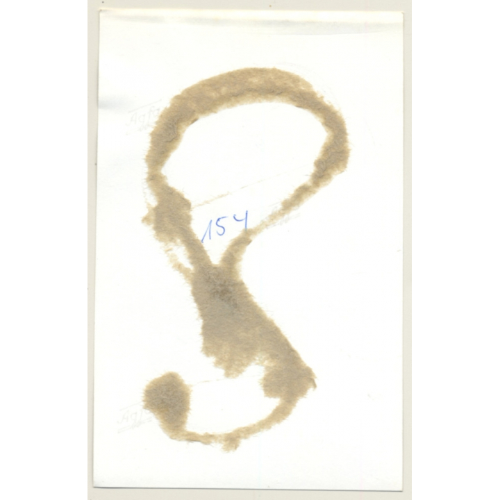 Master Enjoys Looking At 2 Maids In Bondage / Whip - BDSM (2nd Gen. Photo GDR ~1960s)