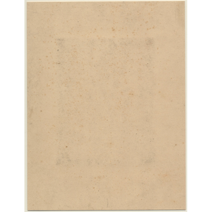 Antique Bust: Pretty Girl With Wreath Of Flowers / Torso (Vintage Albumen Silver Print ~1900s)