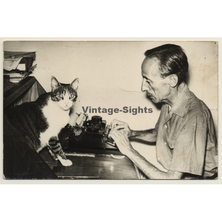 Escritor Con Gato / Reportajes Julia - Palma De Mallorca (Vintage Photo ~1960s)