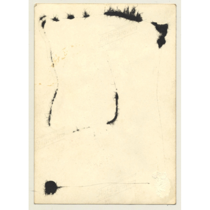 Portrait Of Pretty Young German Woman (Vintage Photo ~1960s)