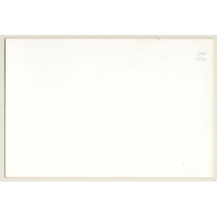 Natural Blonde Semi Nude / Dropped Panties - Tan Lines (Vintage Photo GDR 1980s)