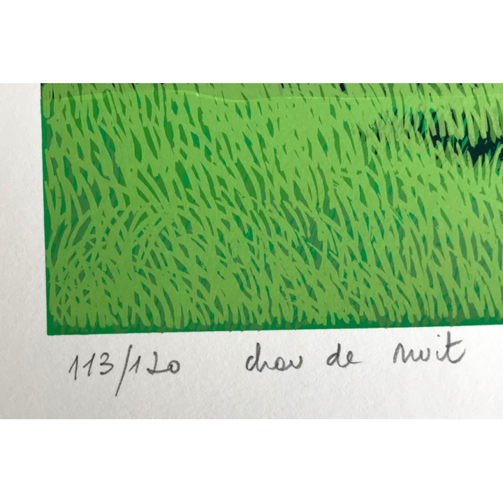 Chantal Decléve: Chou De Nuit - Lim.Ed. 113/120 (Vintage Lithography 1975)