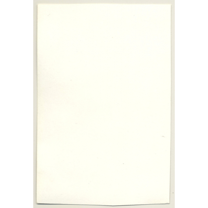 Natural Blonde Nude Kneeling On Couch / Boobs (Vintage Photo GDR 1970s/1980s)