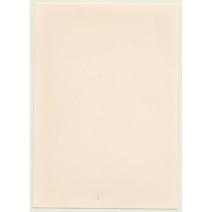 Slim Sporty Shorthaired Nude Standing / Boobs (Vintage Photo GDR 1980s)