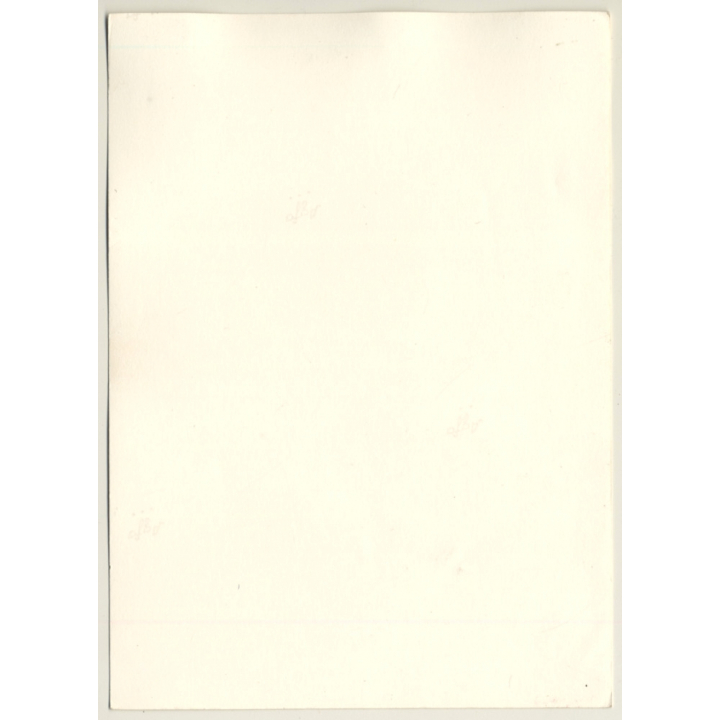 Pretty Nude Woman Kneeling On Cowskin (Vintage Photo 1960s/1970s)